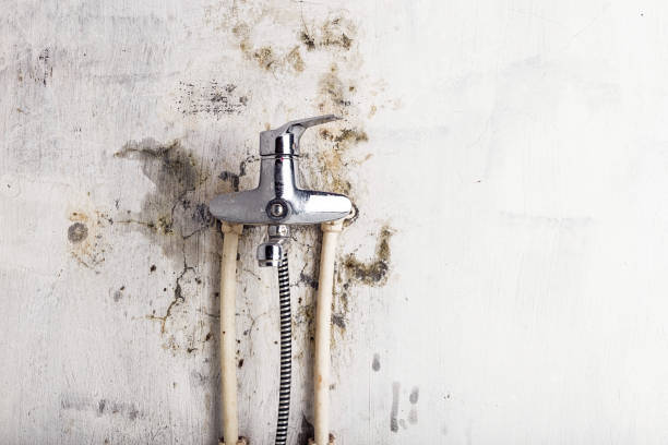 Best Mold Cleaning Services  in Waianae, HI