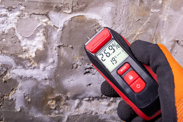 Crawl Space Mold Removal in Waianae, HI